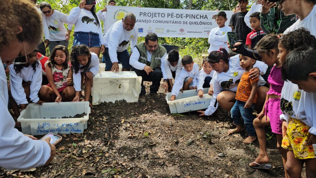02 Projeto de conservacao de quelonios ocorre ha 15 anos na RDS Igapo Acu Foto Noir Miranda Sema 1024x576 1