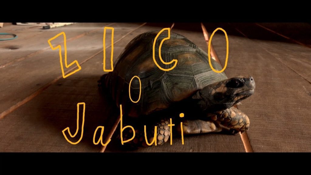 cultura zico jabuti cineclube divulgacao 1024x576 1
