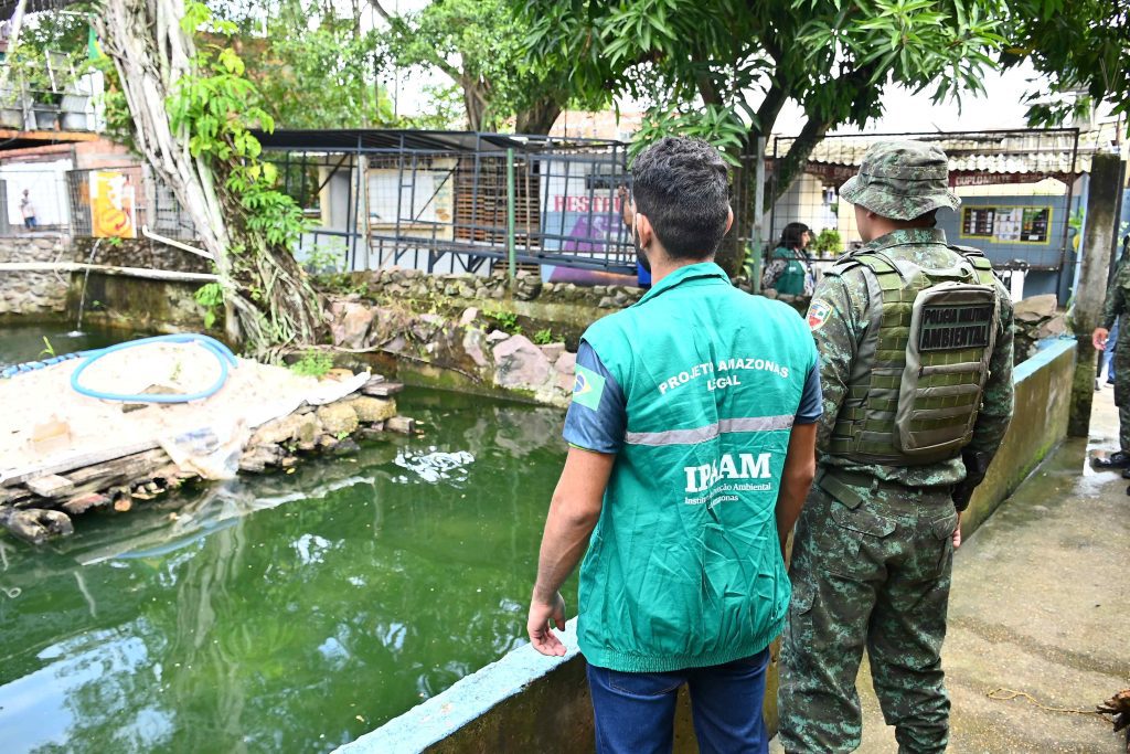 Acao de remocao de animais em casa no Parque Dez Foto 4 20 03 2025 1024x683 1