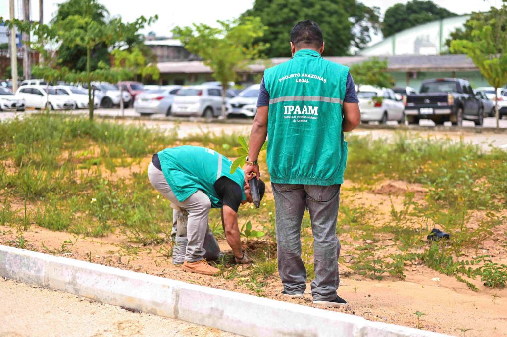 Servidores do Ipaam durante plantio de mudas Foto 4 19 03 2025 1024x681 1