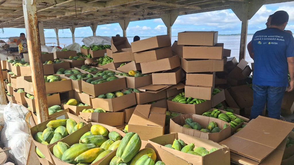 Operação Cheia 2025: Governo do Amazonas adquire 25 toneladas de alimentos em Manacapuru 5 Foto Divulgacao Seprpr Compra de Alimentos via PAA em Manacapuru 3 1024x576 1