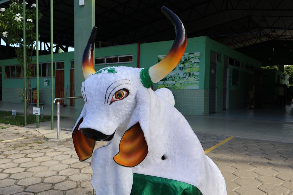 FUnATI aproxima idosos da cultura regional com escolha do nome do boi-bumbá da instituição 4 FUnATI Boi bumba 1024x682 1