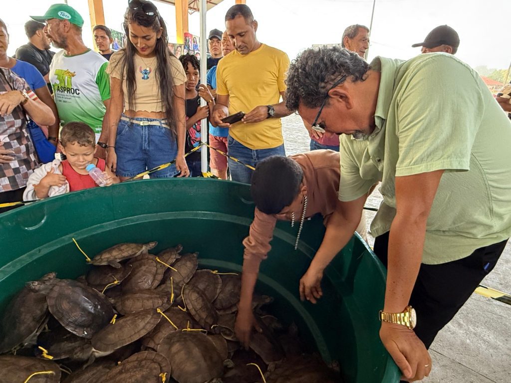 Avanço histórico: Amazonas promove pela primeira venda legal de quelônios manejados em Carauari 8 Foto 05 Primeira feira de quelonios de manejo comunitario ocorre em Carauari Foto Jamile Alves Sema Amazonas 1024x768 1