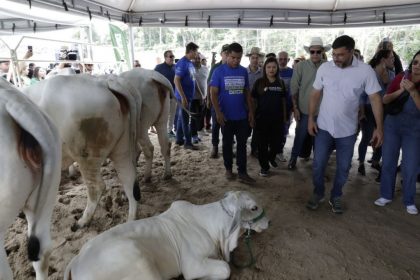 Governador Wilson Lima apresenta comitiva que representara o Amazonas em evento que oficializa estado livre da febre aftosa sem vacinacao 4 Foto Alex Pazuello Secom 1024x682 1