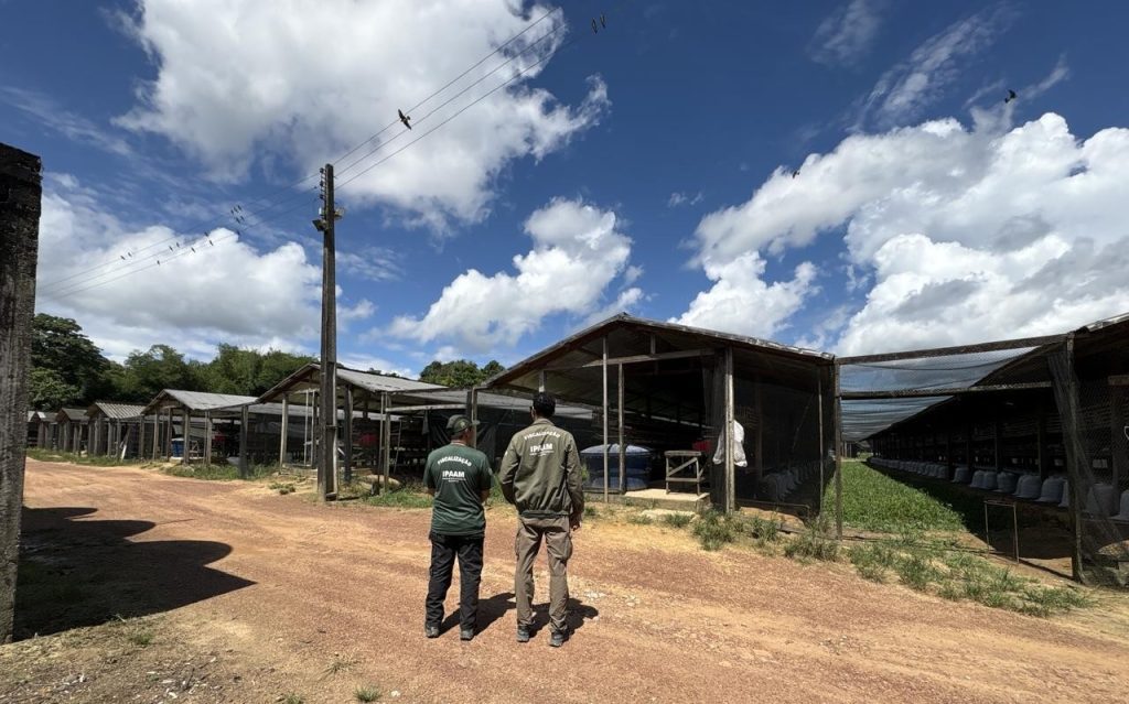 Ipaam notifica seis granjas no Amazonas e reforça necessidade de regularização ambiental 11 Ipaam Acao em granjas Foto 3 24 05 2025 1024x639 1