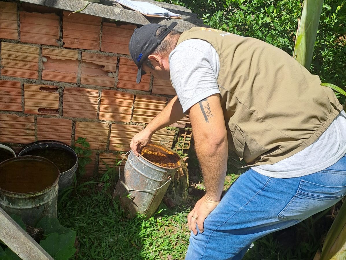 SEMSA MANAUS Informe Arvobiroses 1