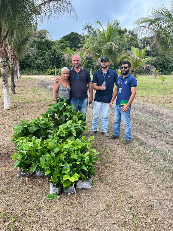 Sepror fomenta projeto-piloto de cafeicultura com base familiar em Rio Preto da Eva com 30 agricultores 5 SEPROR CAFE PRODUCAO