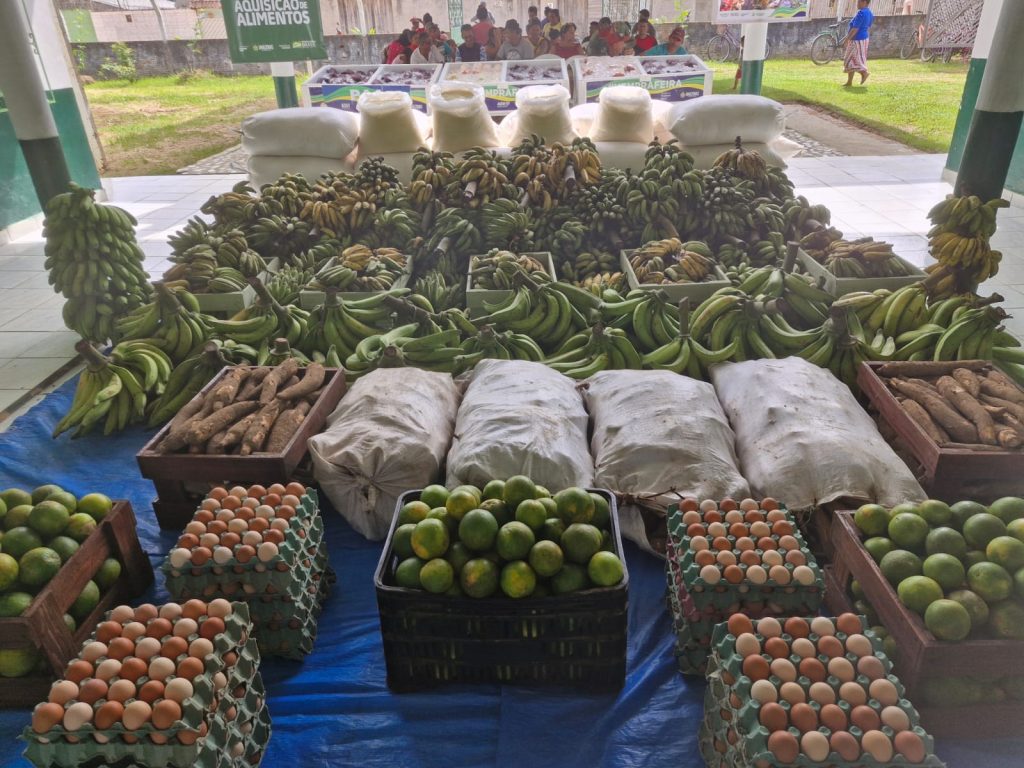 Governo do Amazonas adquire alimentos de agricultores familiares de Eirunepé 6 SEPROR GOVERNO ADQUIRE ALIMENTOS EM EIRUNEPE FOTO DIVULGACAO 4 1024x768 1