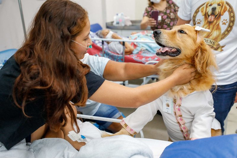 Cães terapeutas levam alegria e contribuem para a recuperação de pacientes no Complexo Hospitalar Sul 9 SES AM 2 Terapia Assistida Animais Foto Antonio Lima Secom