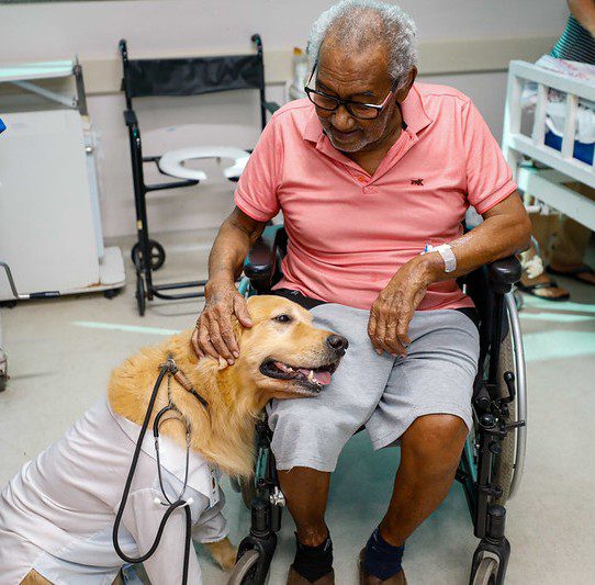 Cães terapeutas levam alegria e contribuem para a recuperação de pacientes no Complexo Hospitalar Sul 8 SES AM 3 Terapia Assistida Animais Foto Antonio Lima Secom