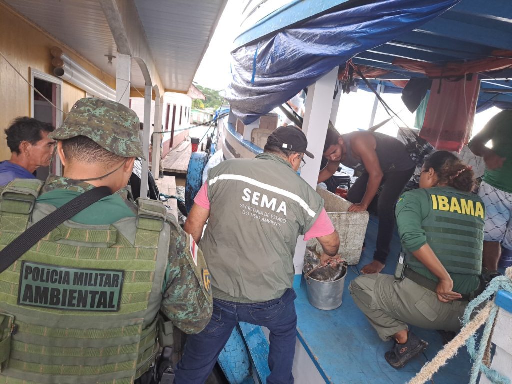 Sema apoia operação de apreensão de quatro toneladas de pescado ilegal na RDS Piagaçu-Purus 6 Sema apoia apreensao de quatro toneladas de pescado ilegal na RDS Piagacu Purus 4 1024x768 1