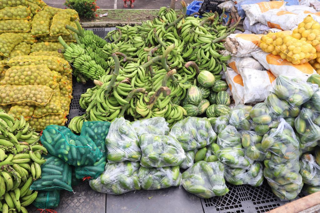 Em Manaus, Governo do Amazonas adquire 16 toneladas de alimentos de agricultores familiares 5 Sepror PAA Agricultura Familiar foto Isaac Maia 1024x683 1