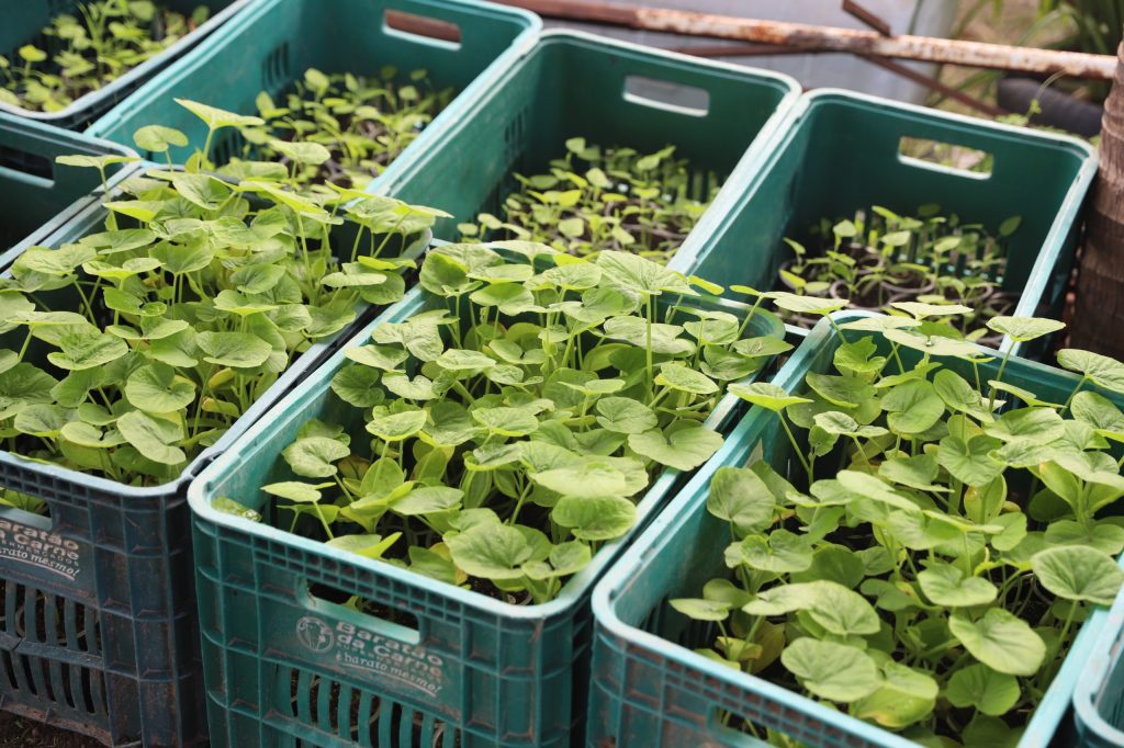 Sepror divulga Plano Estadual de Agroecologia e Produção Orgânica do Amazonas para consulta pública 6 Sepror Pleapo 25 28 foto Isaac Maia 1 1024x682 1