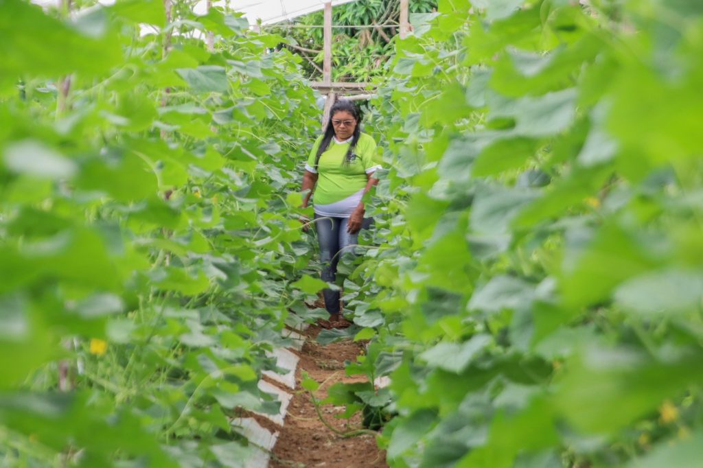 Dia do Trabalhador Rural: A luta e o orgulho de produzir no coração do Amazonas 8 WhatsApp Image 2025 05 24 at 182801 1024x682 1