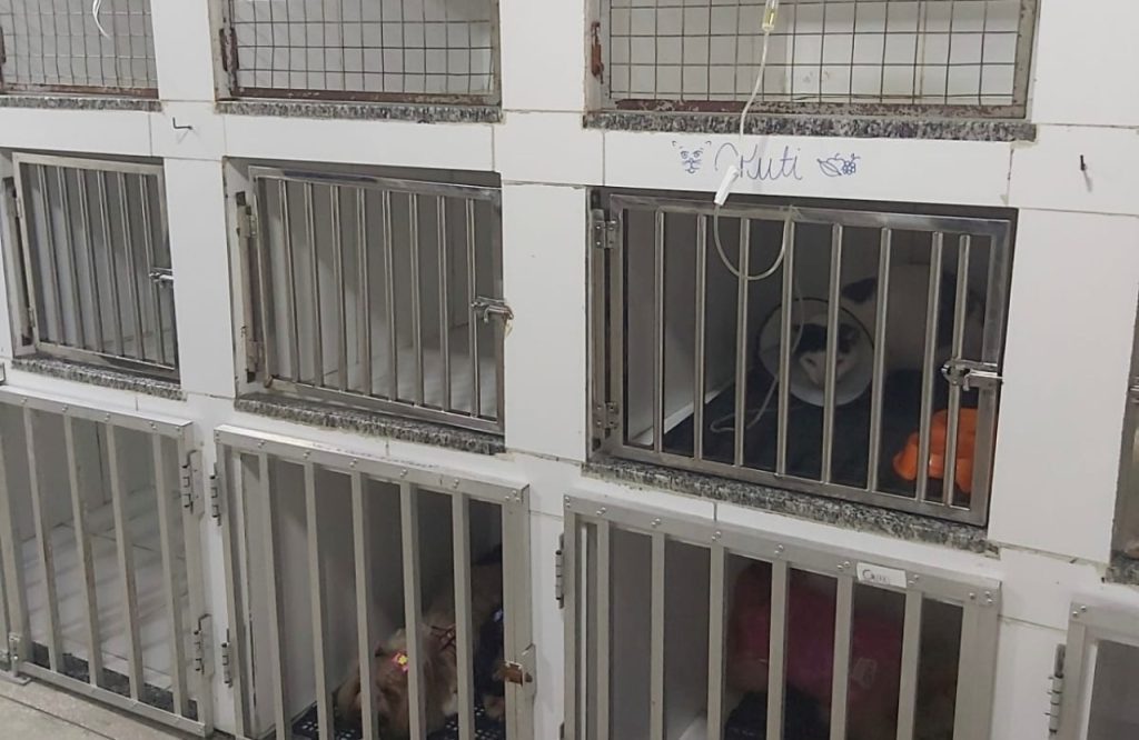 Ipaam orienta sobre o licenciamento obrigatório de clínicas veterinárias no Amazonas 6 WhatsApp Image 2025 05 29 at 151226 1024x666 1