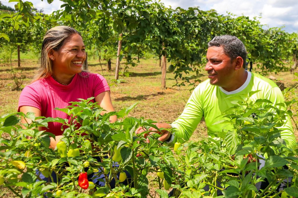 Dia do Trabalhador Rural: A luta e o orgulho de produzir no coração do Amazonas 9 flavia e aroldo 1024x682 1