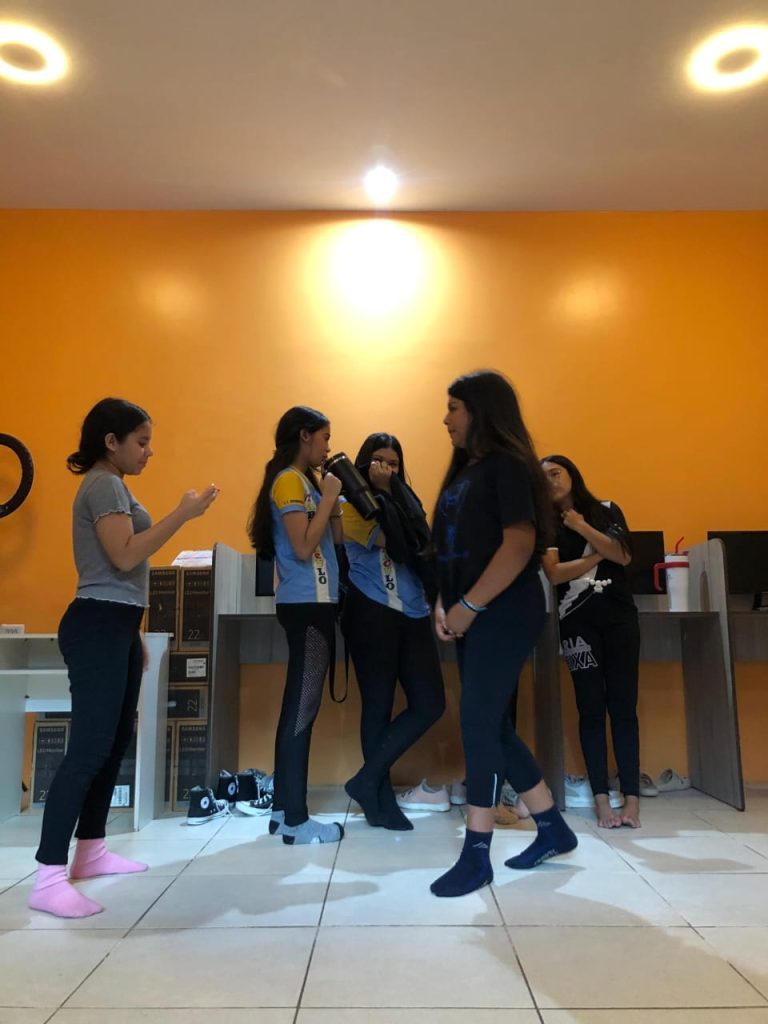 Projeto Acesso Livre: Teatro para Todos fará última apresentação no sábado na Escola Maria de Lourdes no Alvorada 6 Divulgacao2 768x1024 1