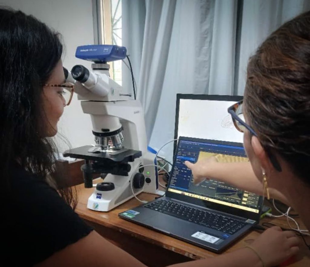 Com apoio do Governo do Amazonas, pesquisa identifica duzentas espécies de microalgas em Parintins 6 Fapeam Pesquisa identifica duzentas especies de microalgas em Parintins Foto arquivo da pesquisadora Angela Maria da Silva Lehmkuhl 1 1024x882 1