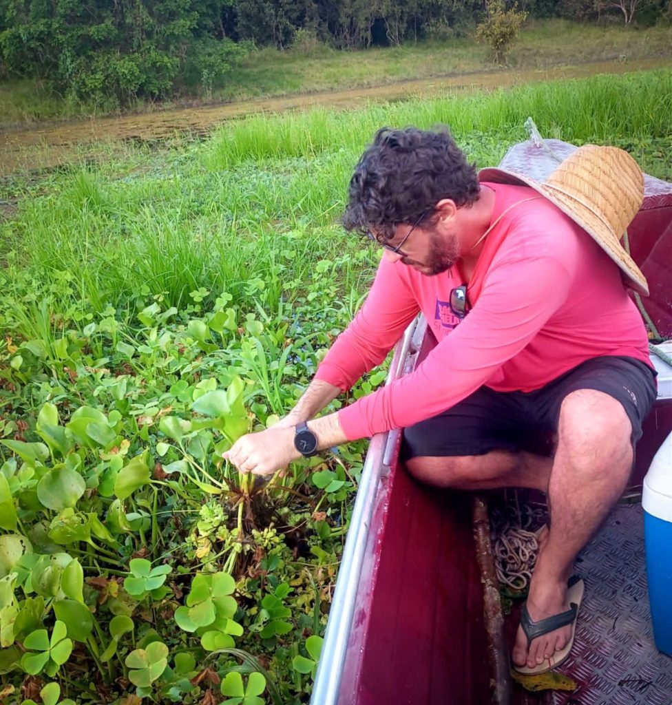 Com apoio do Governo do Amazonas, pesquisa identifica duzentas espécies de microalgas em Parintins 7 Fapeam Pesquisa identifica duzentas especies de microalgas em Parintins Foto arquivo da pesquisadora Angela Maria da Silva Lehmkuhl 2 976x1024 1