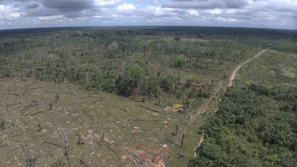 Ipaam aplica multa de R$ 5,4 milhões por desmatamento ilegal na Floresta Estadual de Tapauá 7 Fiscalizacao do Ipaam Foto 2 27 06 2025 1024x576 1