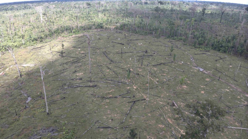 Ipaam aplica multa de R$ 5,4 milhões por desmatamento ilegal na Floresta Estadual de Tapauá 9 Fiscalizacao do Ipaam Foto 4 27 06 2025 1024x576 1