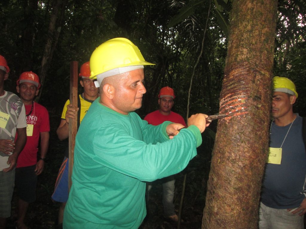 No interior, Idam recebe documentação para credenciamento da Subvenção Econômica da Borracha 9 Idam Cadeia da Borracha Foto Arquivo Idam 1024x768 1