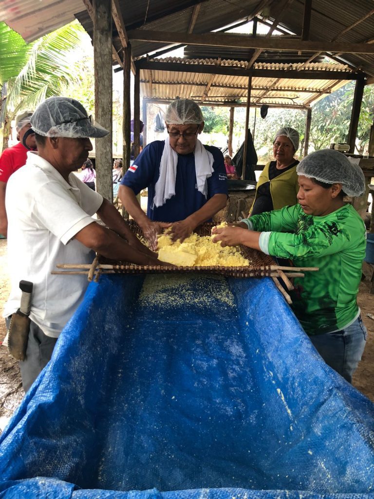 Em Tabatinga, Idam capacita agricultores familiares que atuam na mandiocultura 6 Idam Curso boas praticas da mandioca em Tabatinga Foto Divulgacao Idam 768x1024 1