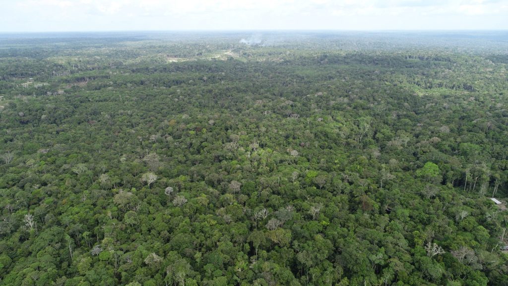 Ipaam registra queda de 21,09% no desmatamento e 37,5% nos focos de calor no Amazonas em maio 5 Ipaam Queda no desmatamento Foto 1 Arquivo Ipaam 1024x576 1