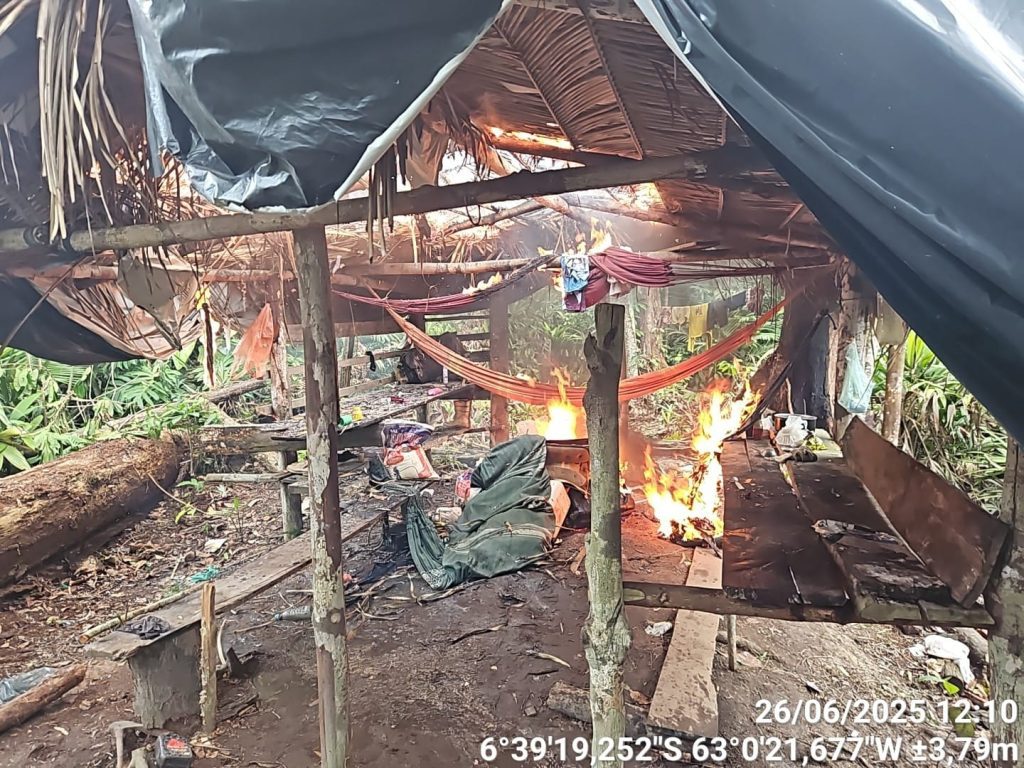 Operação Tamoiotatá V: Ipaam aplica mais de R$ 930 mil em multas por criação ilegal de gado na Floresta de Tapauá 8 Operacao Tamoiotata V Foto 3 27 06 2025 1024x768 1
