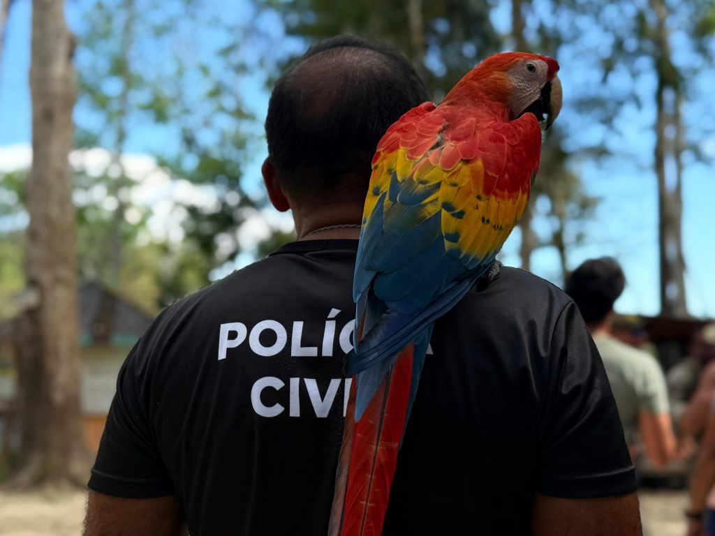 Dia Mundial do Meio Ambiente: Polícia Civil atua no combate aos maus-tratos animais e a preservação ambiental 9 PC AM OPERACAO DEMA FOTOS BEATRIZ SAMPAIO 2 1024x768 1