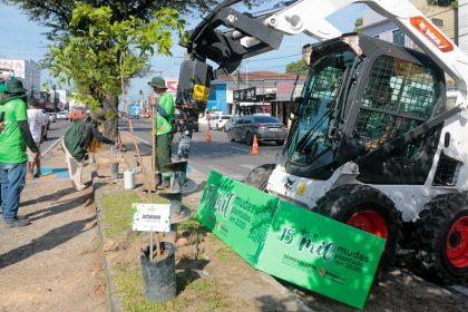 Prefeitura de Manaus tem marco historico na arborizacao e apresenta avancos da gestao 3