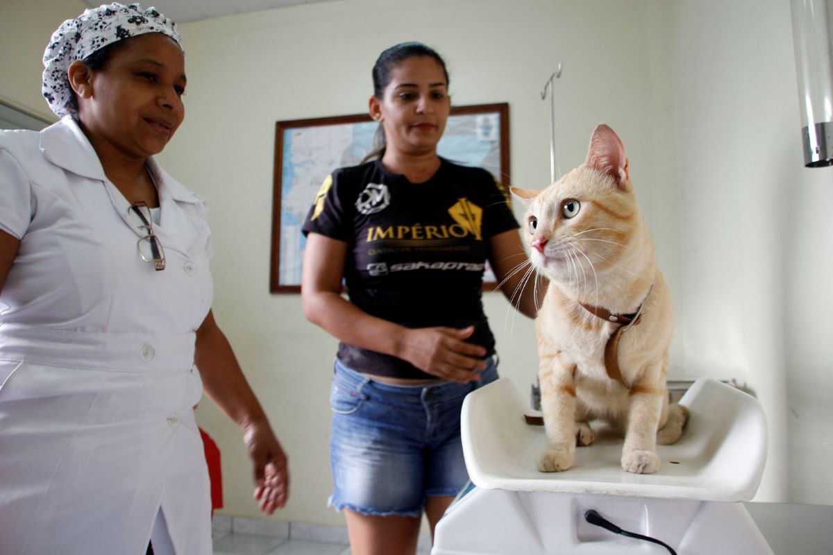 SEMSA MANAUS Calendario Vagas Castracao 3
