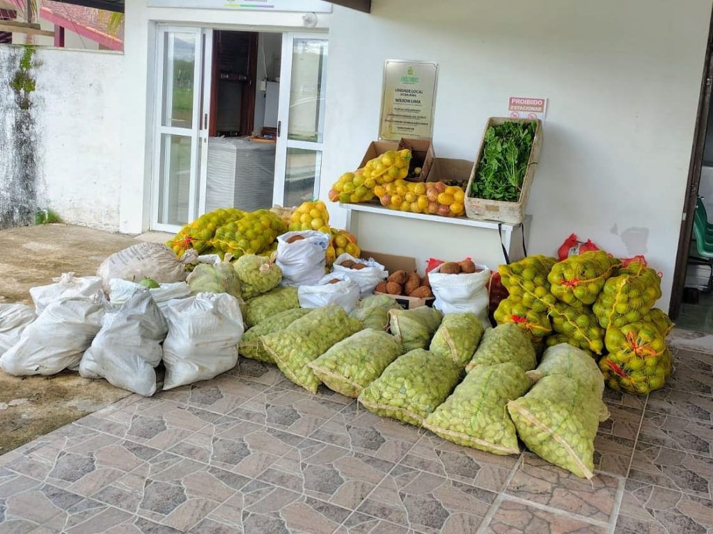 Governo do Amazonas adquire alimentos de agricultores familiares de Presidente Figueiredo 5 SEPROR ENTREGA PAA PRESIDENTE FIGUEIREDO FOTO DIVULGACAO 3 1024x768 1