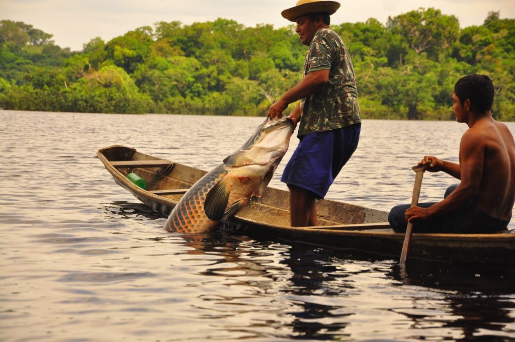 Município de Itamarati ganha novo Acordo de Pesca com benefício direto para 200 famílias 4 Sema Pesca Foto Arquivo Secom 1024x680 1