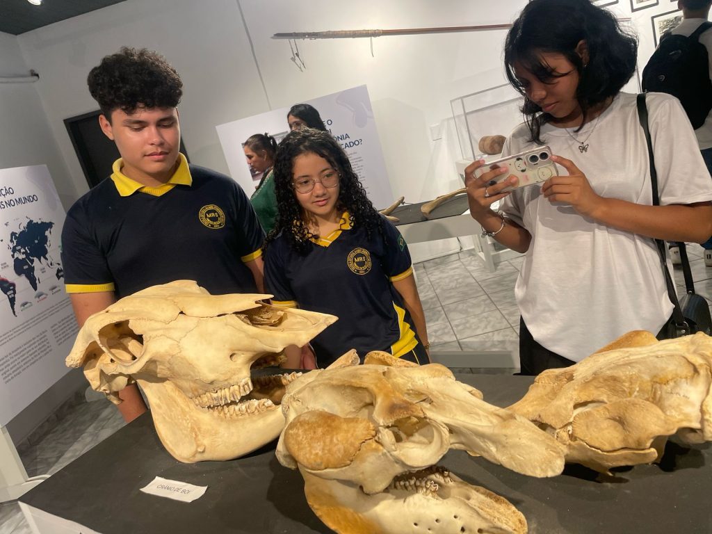 Prosamin+: UGPE promove visita de estudantes ao Bosque da Ciência no Dia Mundial do Meio Ambiente 8 UGPE VISITA ESTUDANTES BOSQUE DA CIENCIA 1 1024x768 1