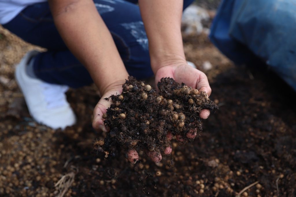 Dia Nacional da Educação Ambiental: Sepror destaca ações de práticas sustentáveis em escolas e comunidades rurais 5 WhatsApp Image 2025 06 03 at 113914 1 1024x682 1