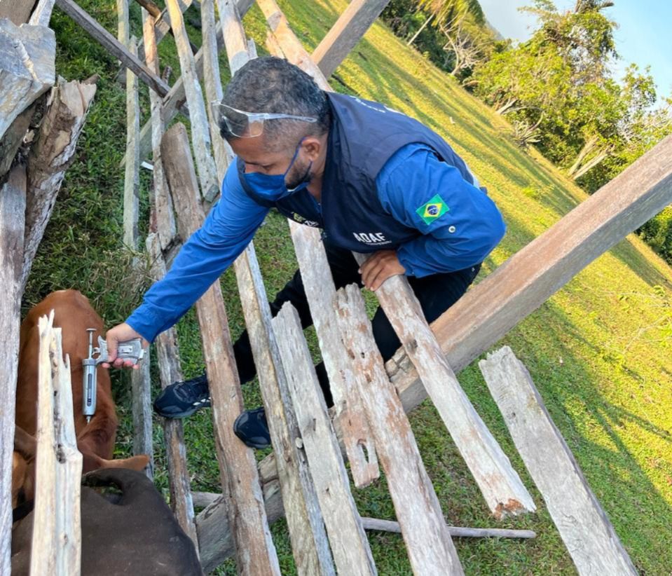 Adaf prorroga vacinação contra raiva dos herbívoros até 30 de setembro 4 WhatsApp Image 2025 06 05 at 140745 1