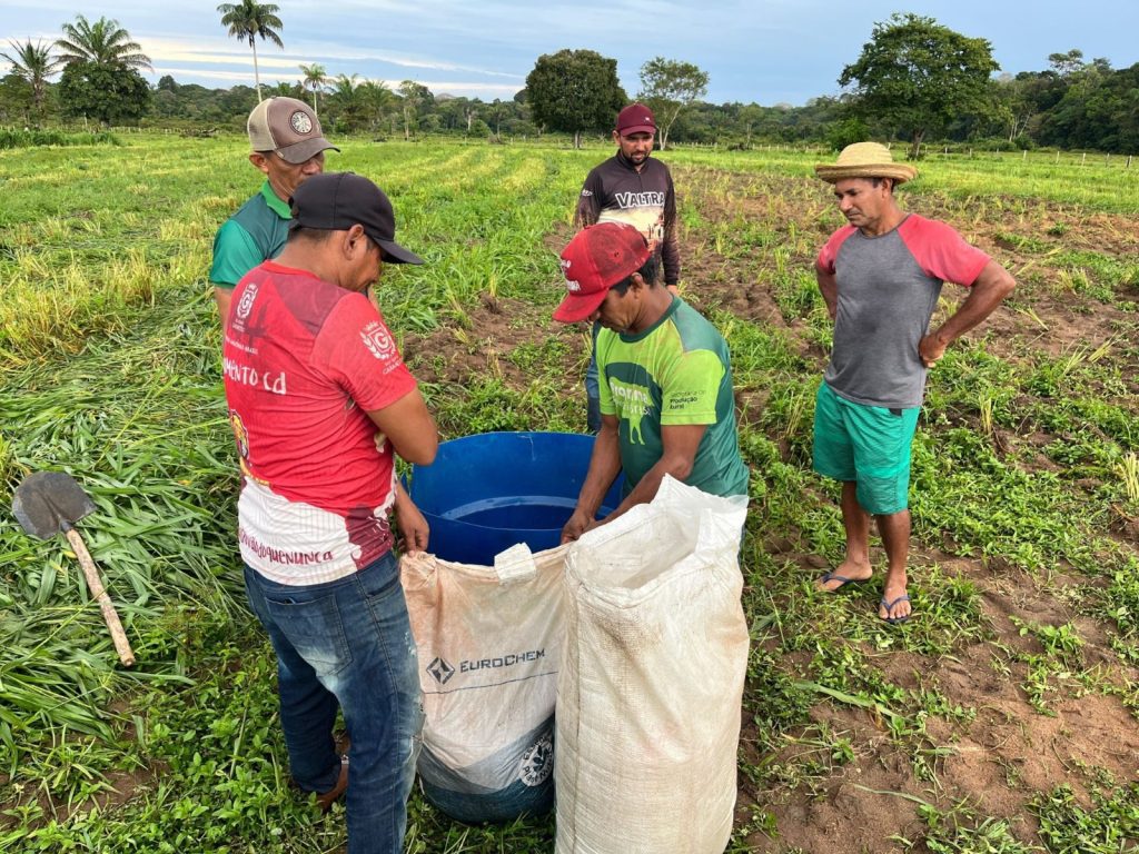 Em Barreirinha, Idam realiza Demonstração de Métodos sobre adubação de cobertura de pastagens 7 WhatsApp Image 2025 06 16 at 160037 1024x768 1
