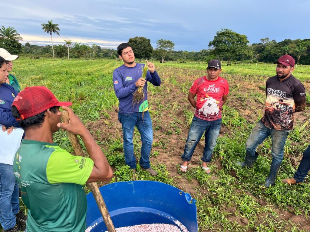 Em Barreirinha, Idam realiza Demonstração de Métodos sobre adubação de cobertura de pastagens 6 WhatsApp Image 2025 06 16 at 160038 1024x768 1