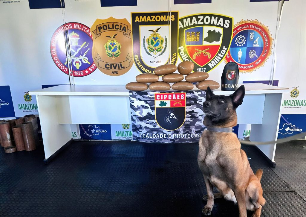 Base Arpão 3: Em duas ações distintas, PMAM apreende mais de 26 quilos de drogas em embarcações Informe Manaus APREENSOES BASE ARPAO FOTOS DIVULGACAO SSP AM 1 1024x725 1