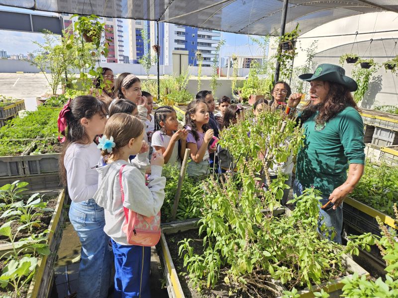 Circuito Ambiental 4