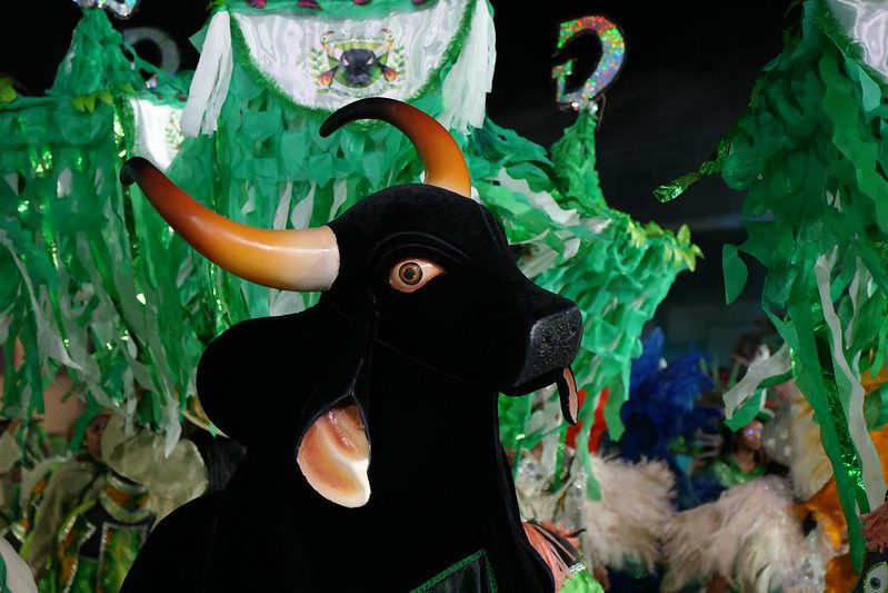 Batalha dos bois-bumbás marca a última noite do 67º Festival Folclórico do Amazonas Informe Manaus Cultura FFAM boi bumba Garanhao foto Aguilar Abecassis Secretaria de Estado de Cultura e Economia Criativa 8