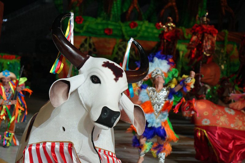 Batalha dos bois-bumbás marca a última noite do 67º Festival Folclórico do Amazonas Informe Manaus Cultura FFAM boi bumba Corrre Campo foto Aguilar Abecassis Secretaria de Estado de Cultura e Economia Criativa 11