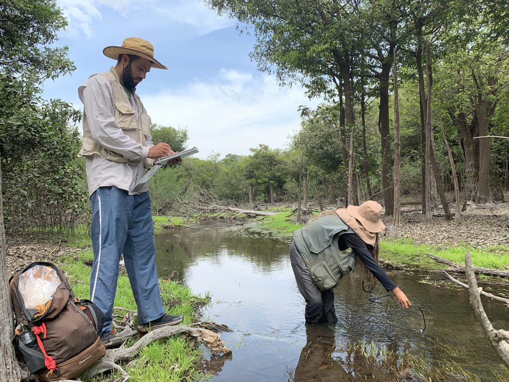 Com apoio do Governo do Amazonas, pesquisa identifica mais de 11,3 mil insetos aquáticos na RDS do Uatumã Informe Manaus Fapeam Pesquisa insetos aquaticos na RDS do Uatuma Foto pesquisadores do INPA 4 1024x768 1